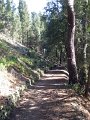 Fiesole - Parco di Montececeri-22